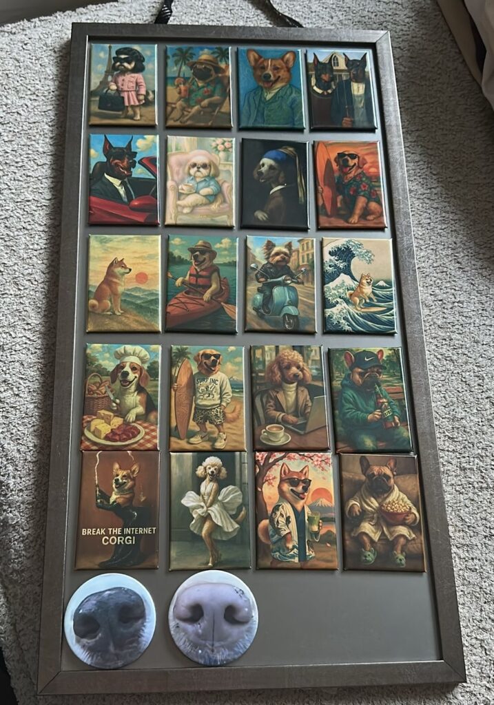 fotomagnesy na żywo